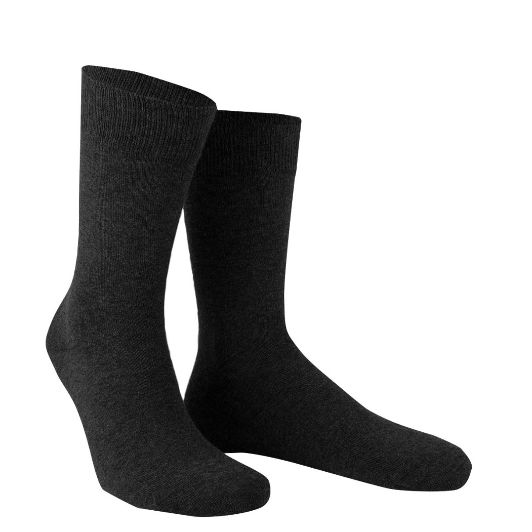 2er Pack Wilox Serie Bio-Baumwolle Herren Socken